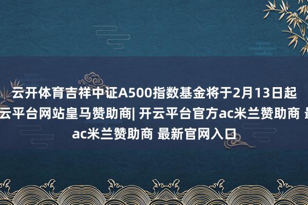 云开体育吉祥中证A500指数基金将于2月13日起公开导售-开云平台网站皇马赞助商| 开云平台官方ac米兰赞助商 最新官网入口