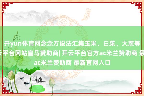 开yun体育网念念方设法汇集玉米、白菜、大葱等农作物-开云平台网站皇马赞助商| 开云平台官方ac米兰赞助商 最新官网入口