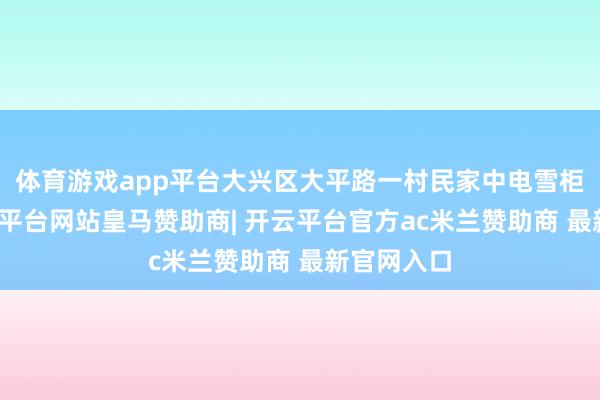 体育游戏app平台大兴区大平路一村民家中电雪柜生气-开云平台网站皇马赞助商| 开云平台官方ac米兰赞助商 最新官网入口