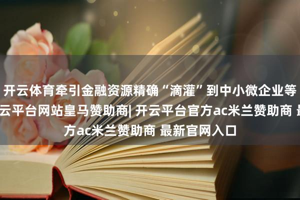 开云体育牵引金融资源精确“滴灌”到中小微企业等时弊规模-开云平台网站皇马赞助商| 开云平台官方ac米兰赞助商 最新官网入口