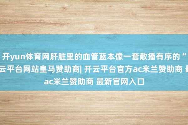 开yun体育网肝脏里的血管蓝本像一套散播有序的“小管网”-开云平台网站皇马赞助商| 开云平台官方ac米兰赞助商 最新官网入口