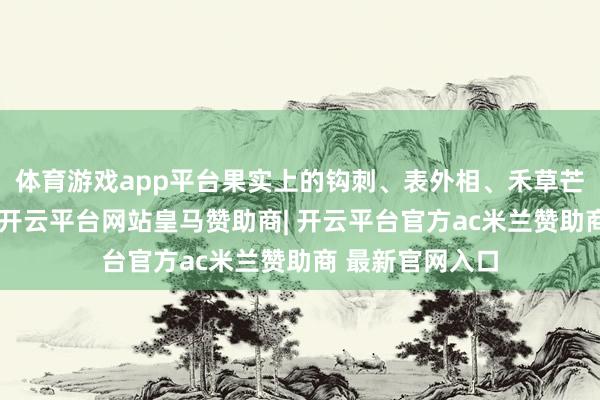体育游戏app平台果实上的钩刺、表外相、禾草芒训练零碎之后-开云平台网站皇马赞助商| 开云平台官方ac米兰赞助商 最新官网入口
